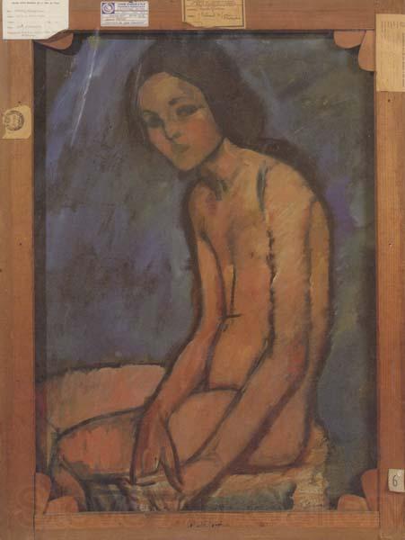 Amedeo Modigliani Nu assis (mk39) Germany oil painting art